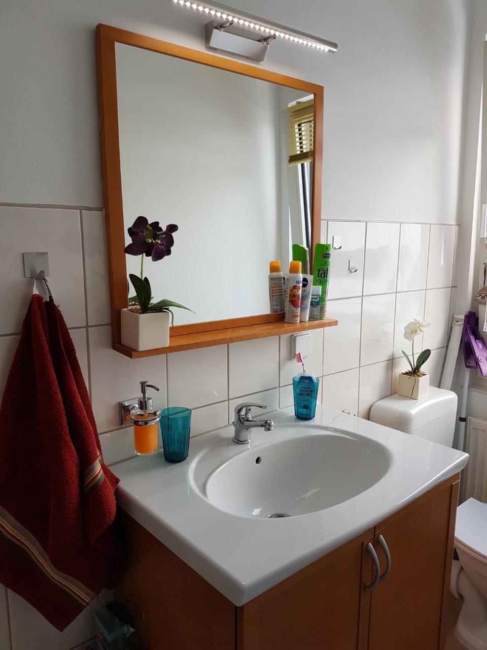 Apartment Harzzwerg Braunlage Extérieur photo